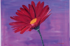 Blume