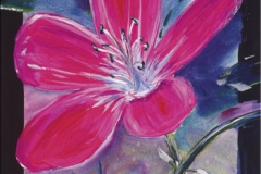 Blume