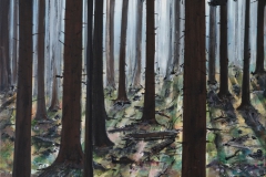 Licht im Wald