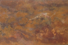 Rost IMG_3722