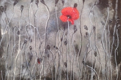 Mohn in Silber IMG_3725
