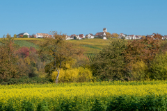 Ötlingen das Dorf an der Sonne